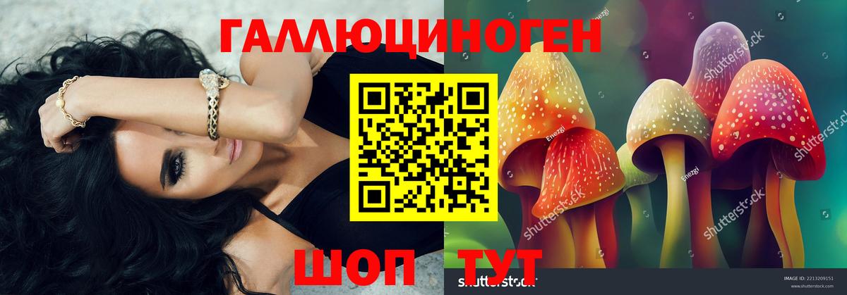 Псилоцибиновые грибы мицелий Хасавюрт